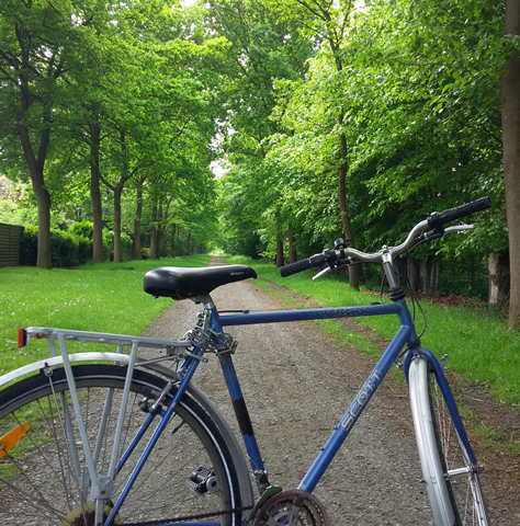 Bicicleta em caminho arborizado na Bélgica