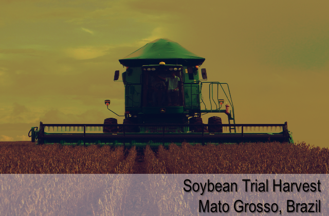 Soybean trial harvest - Mato Grosso, Brazil
