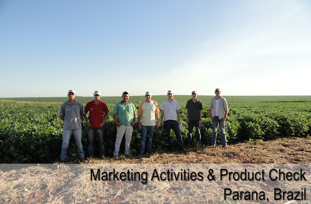 Marketing activities and product check - Parana, Brazil